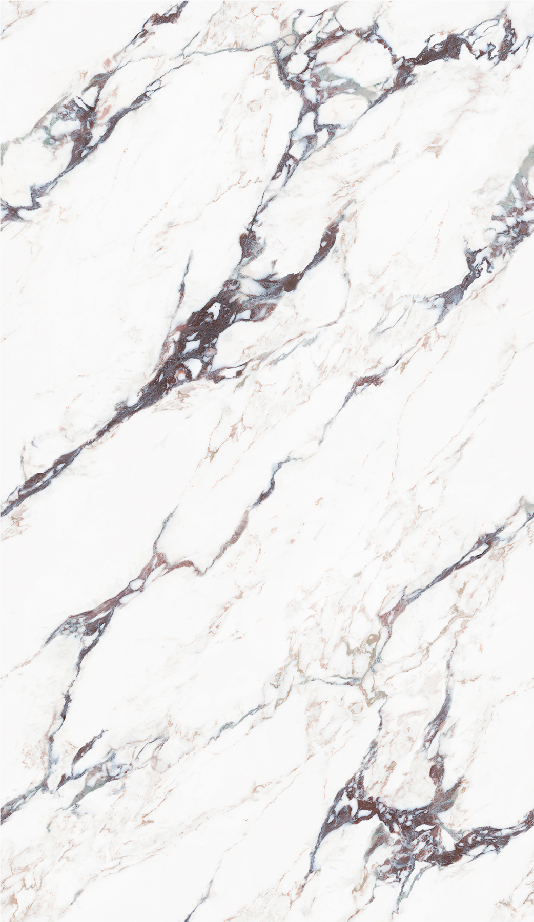 FTB813009新寶格麗（任意連紋）