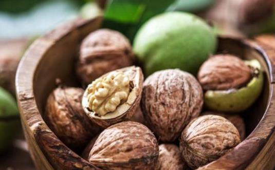 為什么核桃被稱為“長(zhǎng)壽果”？東莞生鮮食材配送中心告訴你