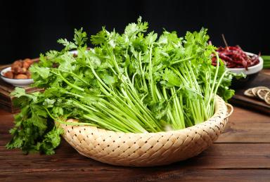 香芹西芹老是分不清？惠州食材配送中心教你區(qū)分！