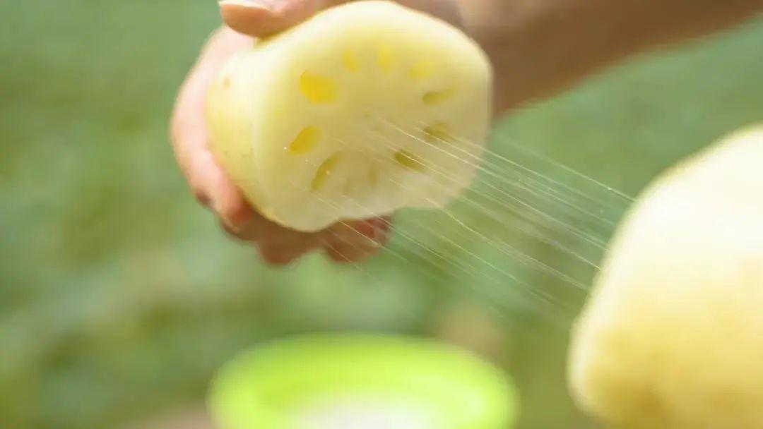 藕斷為什么會(huì)絲連呢，東莞食材生鮮配送中心與您談一談