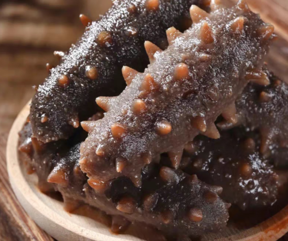 海參為什么是海底的軟黃金？