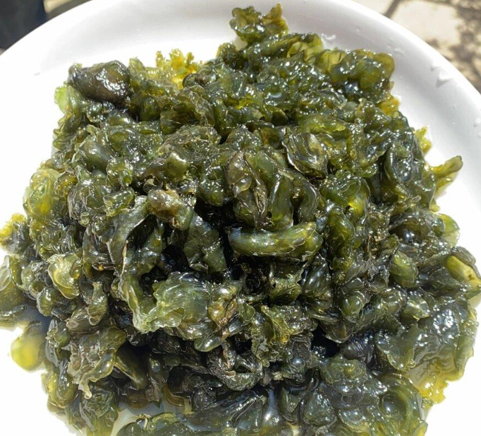 地皮菜：雨后才有的特產(chǎn)，吃的是山野的饋贈(zèng)